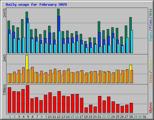 Daily usage for February 2025