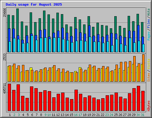 Daily usage for August 2025