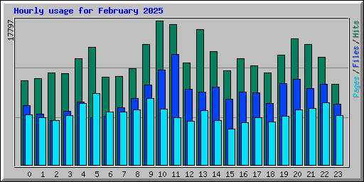 Hourly usage for February 2025
