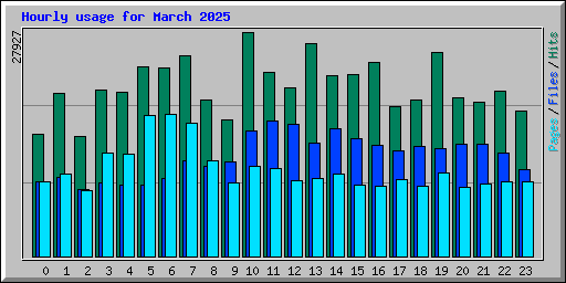 Hourly usage for March 2025