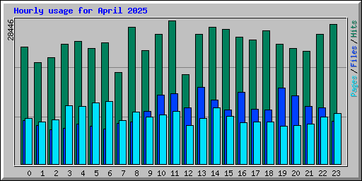 Hourly usage for April 2025