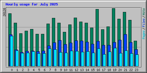 Hourly usage for July 2025
