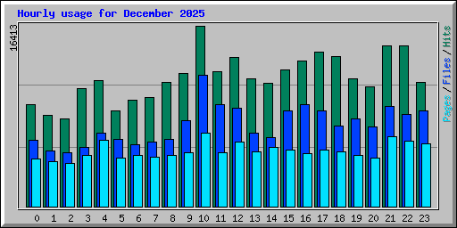 Hourly usage for December 2025