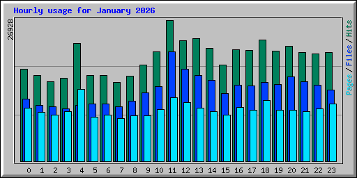 Hourly usage for January 2026