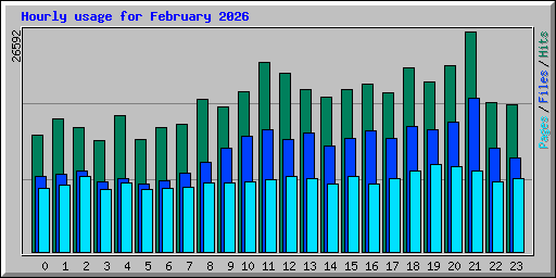 Hourly usage for February 2026